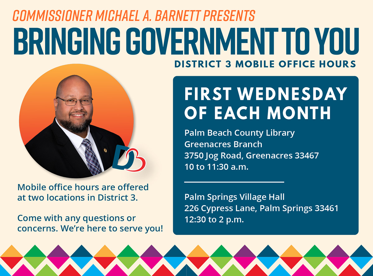 Bringing Government To You Flyer