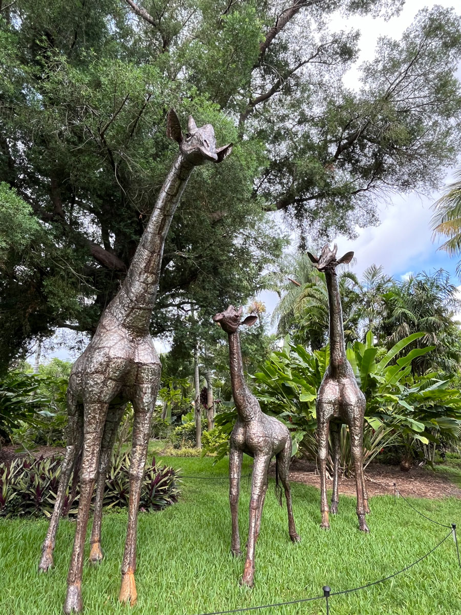 /NewsroomImages/0625/1-giraffe-family.jpg