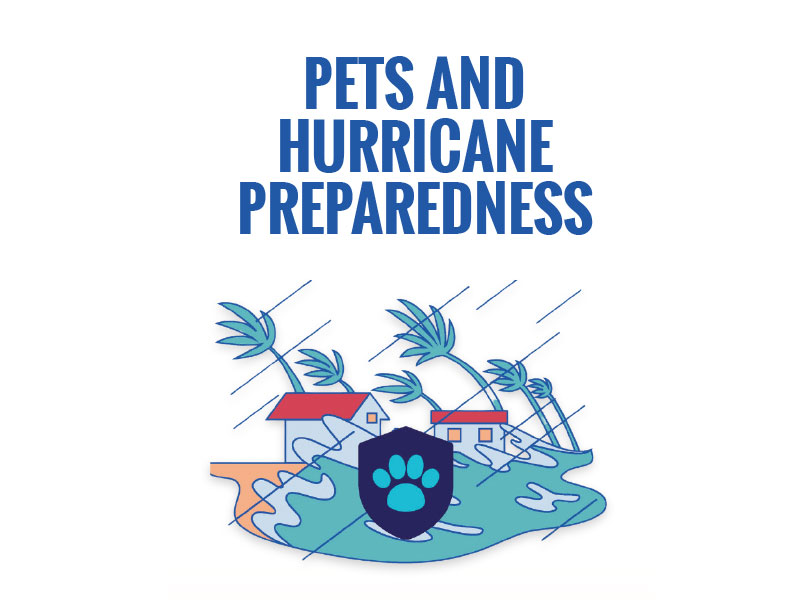 http://pbcauthor/NewsroomImages/0625/pets-hurricane-preparedness.jpg