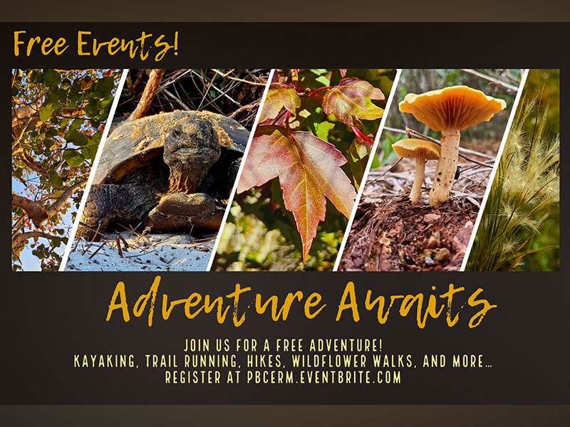 /NewsroomImages/0925/Adventure-Awaits-Fall-25.jpg