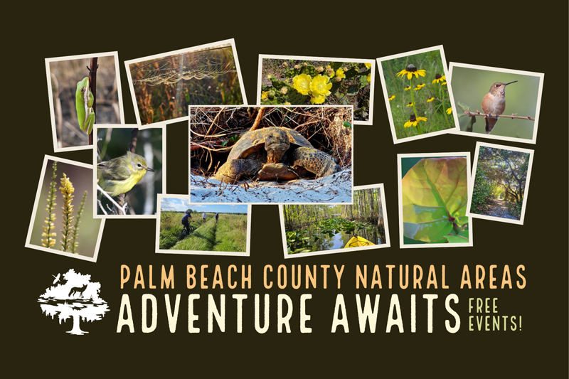 /NewsroomImages/0926/Fall-Adventure-Awaits-Postcard-2026.jpg
