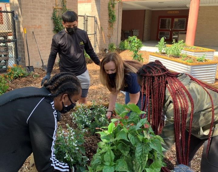 Teaching Florida Friendly Lansdcaping to residents