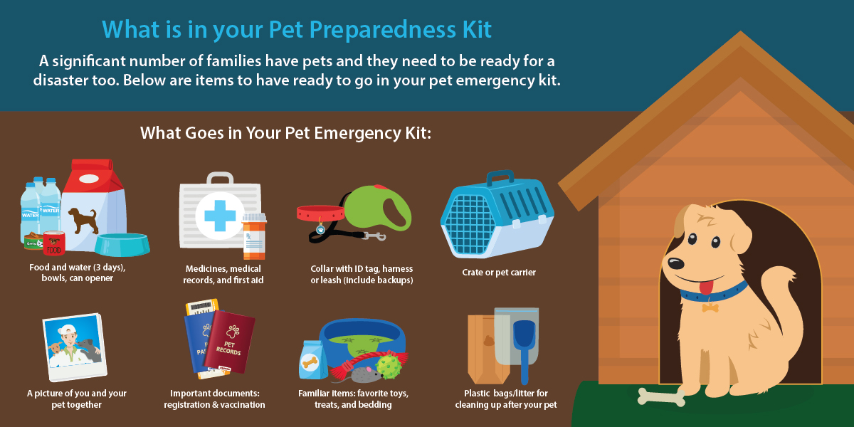 Pet Hurricane Preparedness kit with supplies needed for 3 days