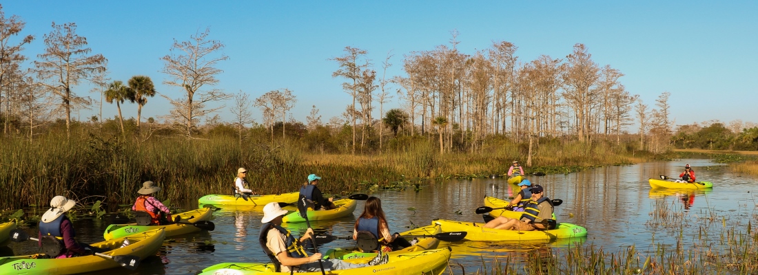 Group of kayakers paddling in a Palm Bech County Natural Area