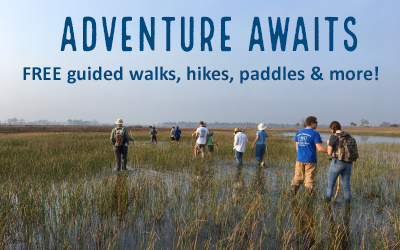 Picture Link for Adventure Awaits Program that offers free Guided walks, hikes. paddles & more