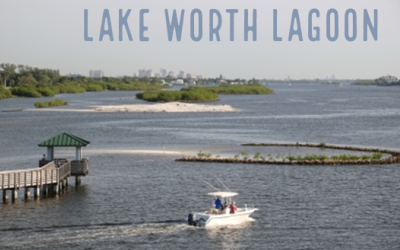 Picture Link to Lake Worth Lagoon Estuary Web Page