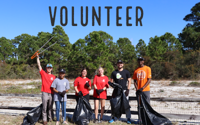 Picture of volunteers helping to maintain natural areas