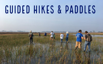 Picture Link for Adventure Awaits Program that offers free Guided walks, hikes. paddles & more