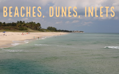 Beach goers along the shoreline