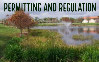 Planted littoral zone along excavated lake with preserved cypress tree at water plant