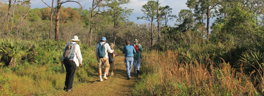 Pictures of Hikers on a multiuse trail in the Jeaga Wildways