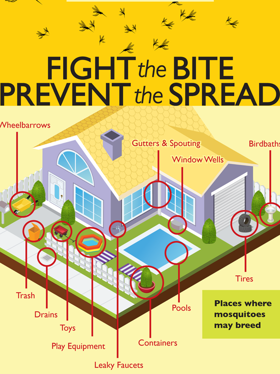 Graphic of Home Showing Areas Where Container Mosquitoes Could Breed