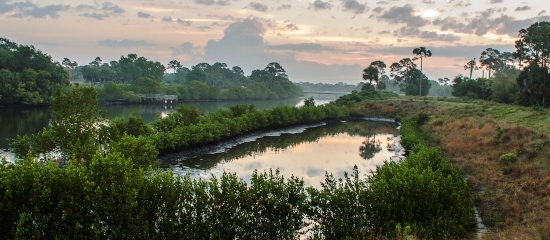 Picture of a restored oxbow of brackish wetlands at Limestone Creek Natural Area