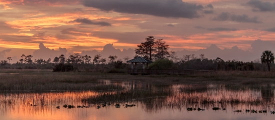 Picture of a shade shelter overlooking a restored open water wetland at sunset at Pine Glades Natural Area