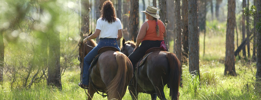 Equestrians riding in natural areas
