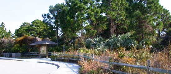 Picture of the entrance into Seacrest Scrub Natural Area