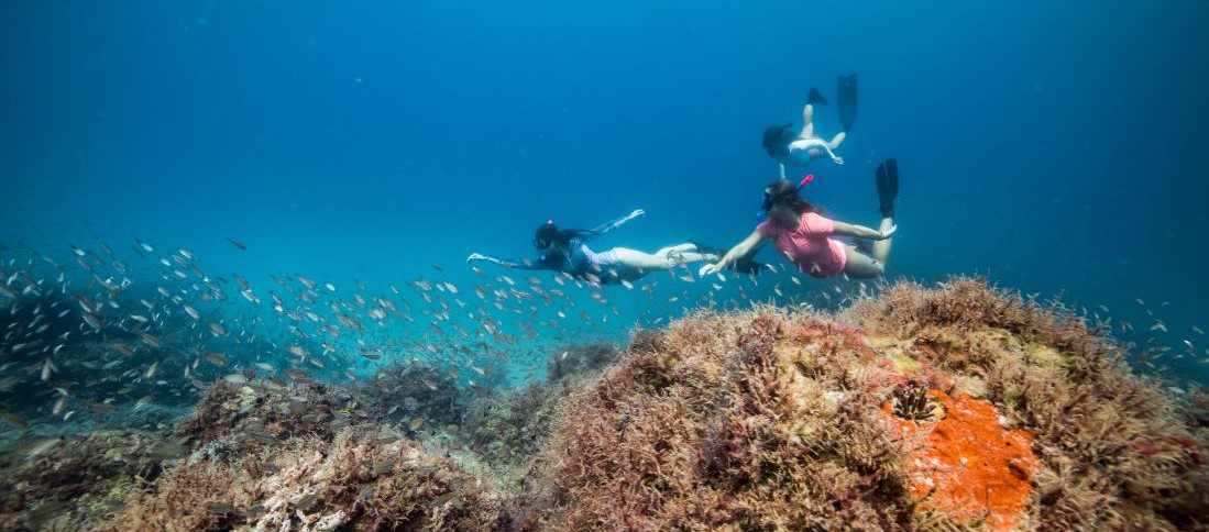 Snorkelers Swmimming Above an Artificial Limestone Rock Reef