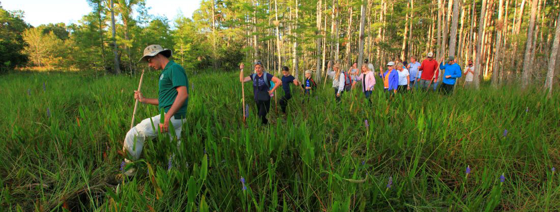 Group of people attending an Adventure Awaits Event - Slogging Through a Cypress Wetland