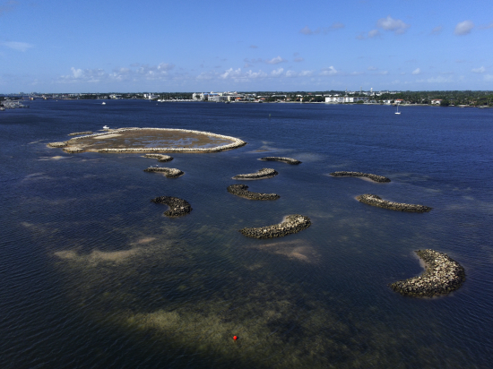 Aerial view showing a completed south intertidal mangrove island and associated oyster reefs