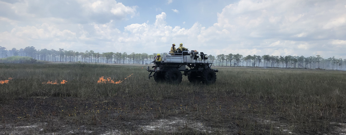 Burn Crew Igniting Wet Praire Prescribe Burn from a Swamp Buggy