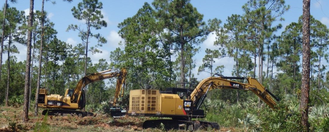 Machines Removing Vegetation to Reduce Fuel Levels for Wildfire Prevention