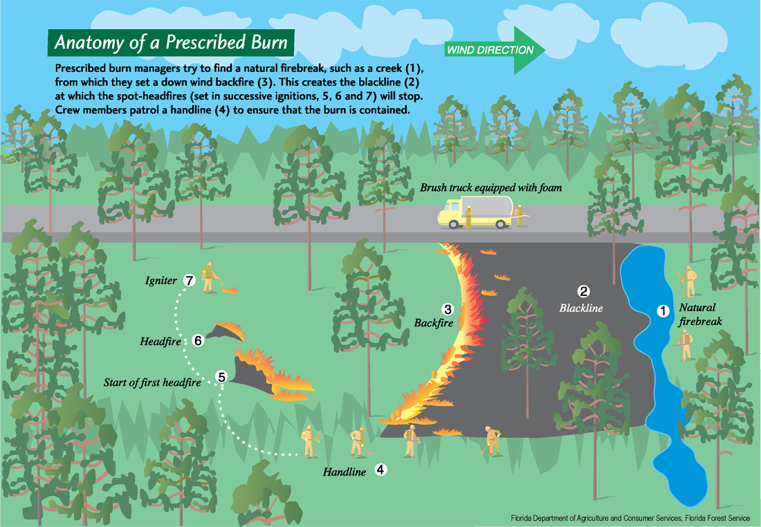 Diagram of how a prescribed fire is controlled