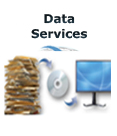 data services logo