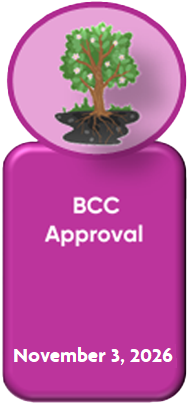 Step 5 - BCC Approval