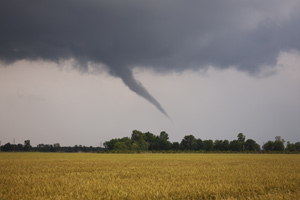 Tornado