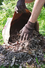 Yard Cleanup