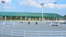 jim brandon equestrian center