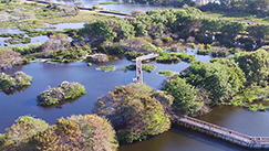 aerial view of wakodahatchee wetlands
