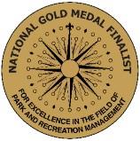 gold medal award finalist