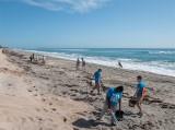 /parks/SiteImages/News/_t/beach-cleanup_jpg.jpg