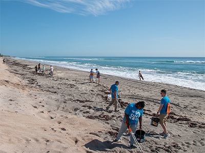 beach-cleanup image