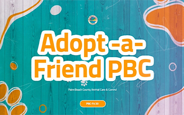 Adopt A Friend