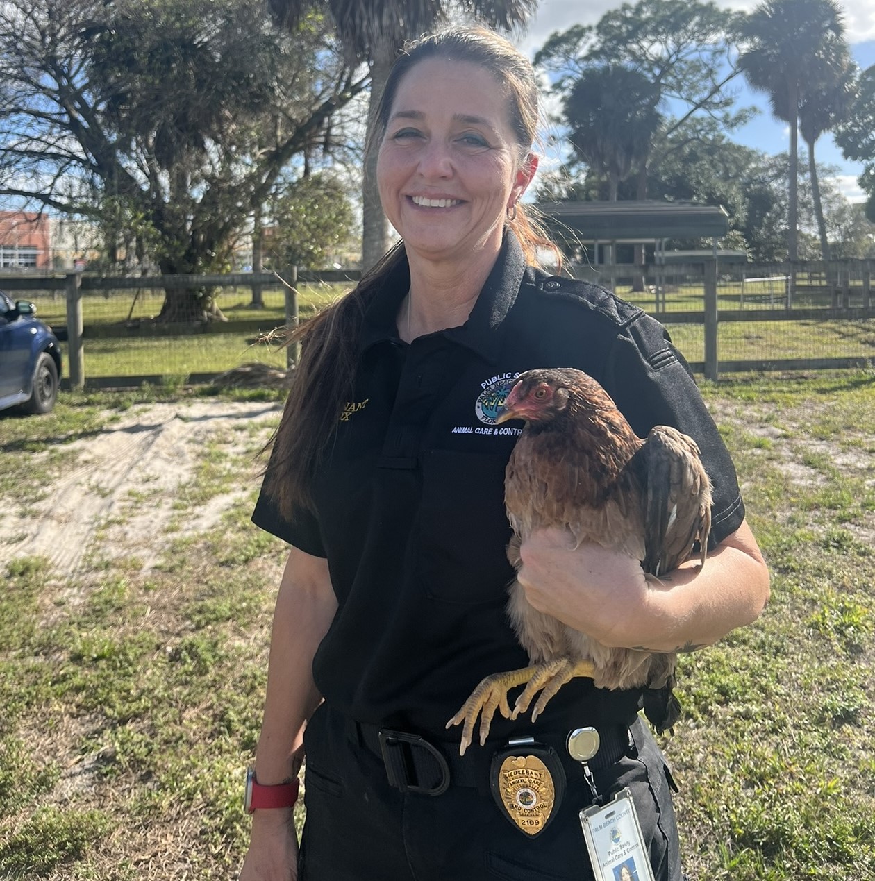 Public Safety - Animal Care Field Services Operations