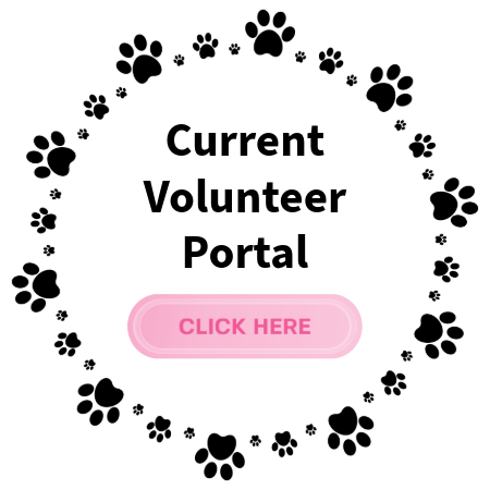 Button Current Volunteer Portal