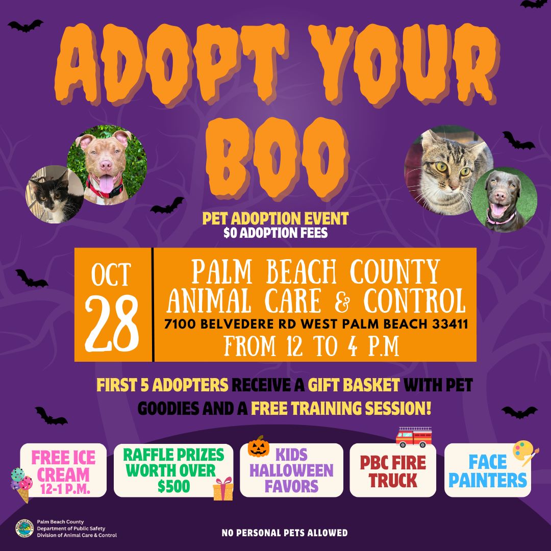 Adopt a Boo - Adoption Event