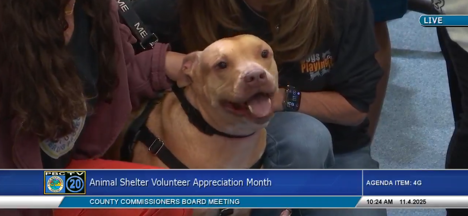 photo the BCC meeting 