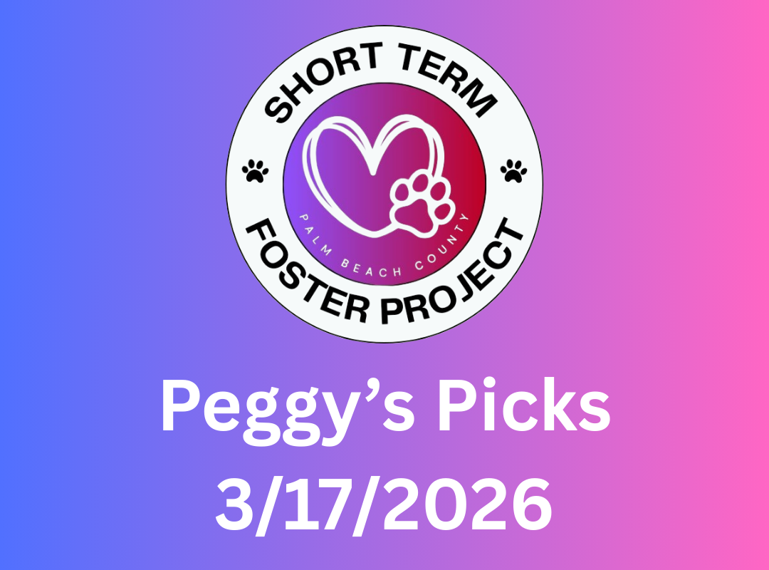 http://pbcauthor/publicsafety/animalcare/SiteImages/newsroom/Peggys%20Picks%203-17-2026.png