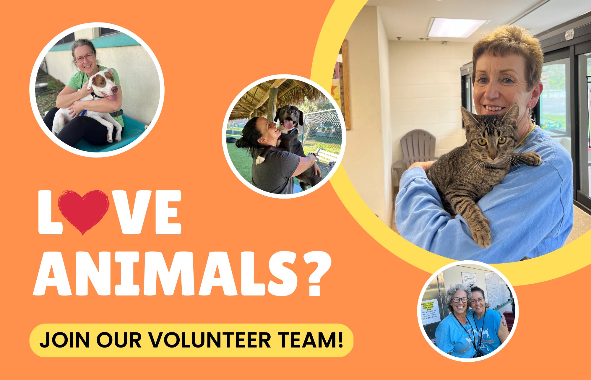 Palm Beach County Animal Care and Control volunteers