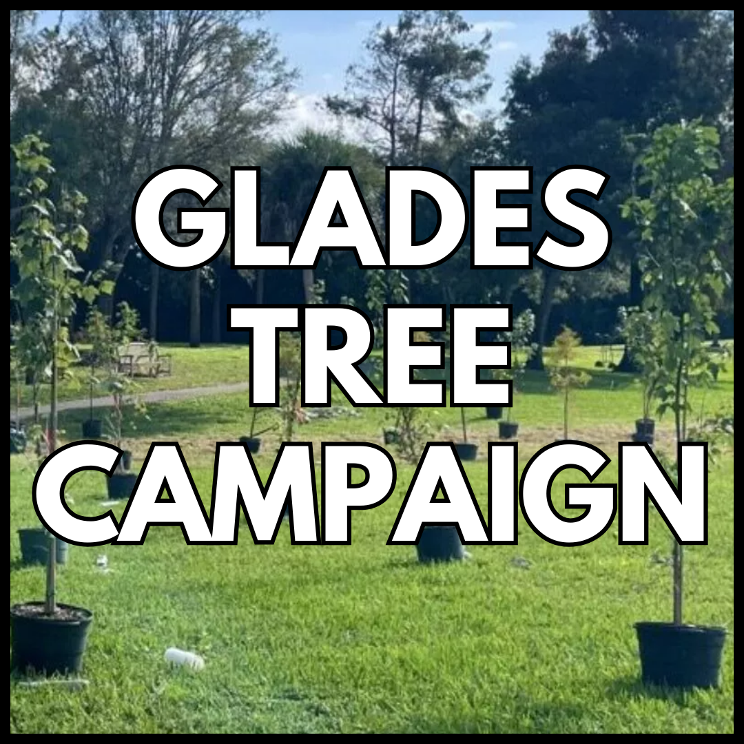 Glades Tree Campaign