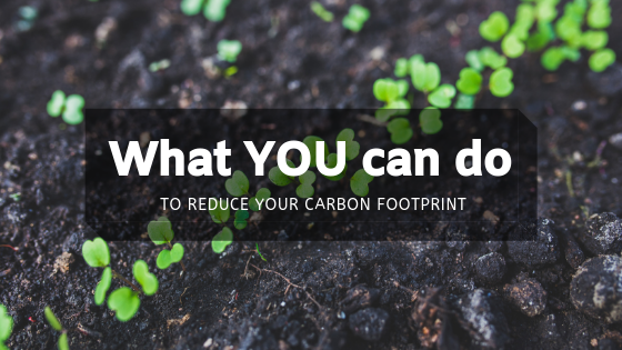 What YOU can do to reduce carbon footprint 