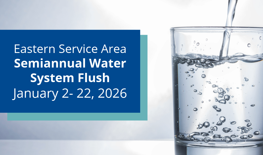 Graphic For Clorine Flush