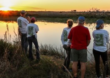 People watching the sunset at Winding Waters Natural Area