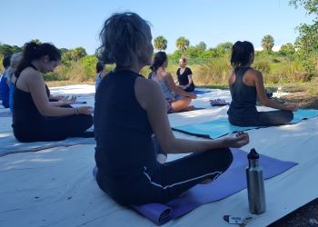 people in yoga poses in natural area