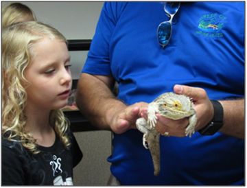 exotic animals