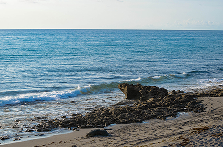 coral cove park