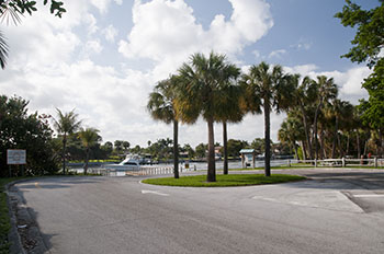 juno park